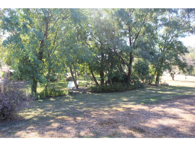 269 Bendygleet Road “River Lyn”, Moree NSW 2400