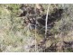 269 Bendygleet Road “River Lyn”, Moree NSW 2400