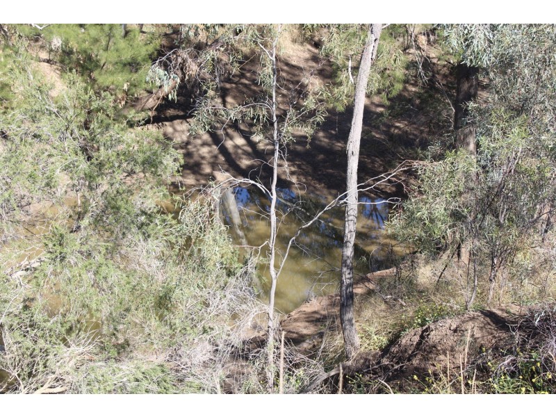 269 Bendygleet Road “River Lyn”, Moree NSW 2400