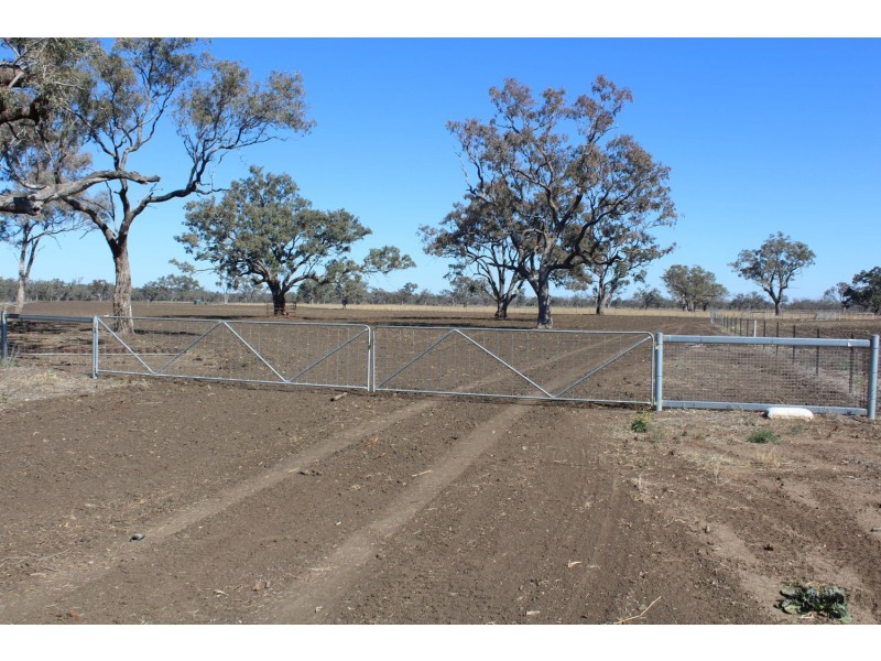 269 Bendygleet Road “River Lyn”, Moree NSW 2400
