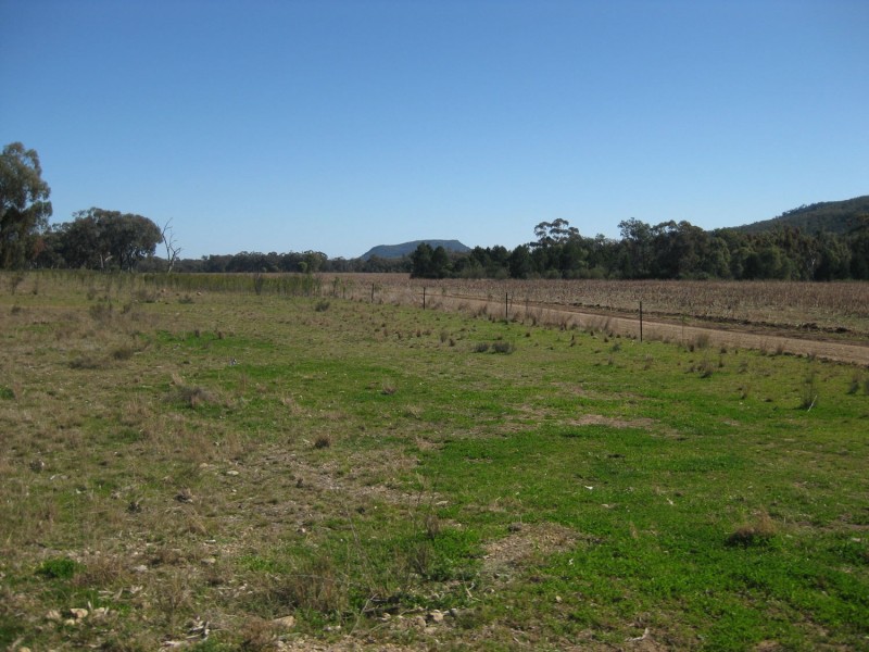 “Part Arcadia” Bellata, Moree NSW 2400