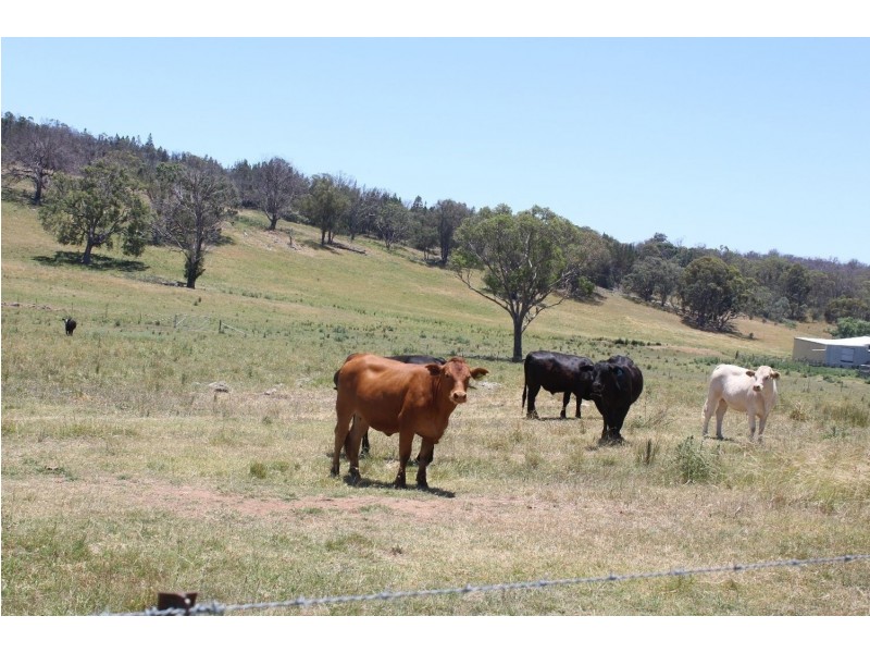 “Ramah”, Guyra NSW 2365