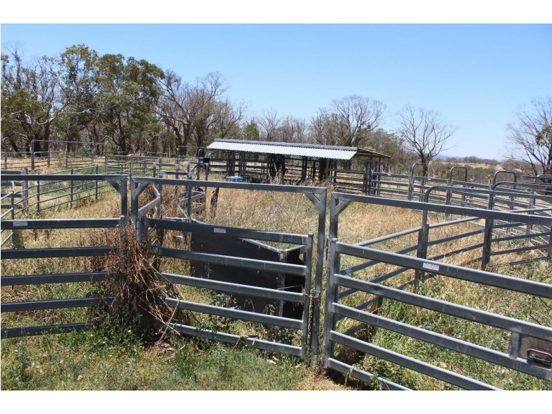 “Ramah”, Guyra NSW 2365