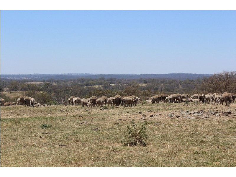 “Ramah”, Guyra NSW 2365