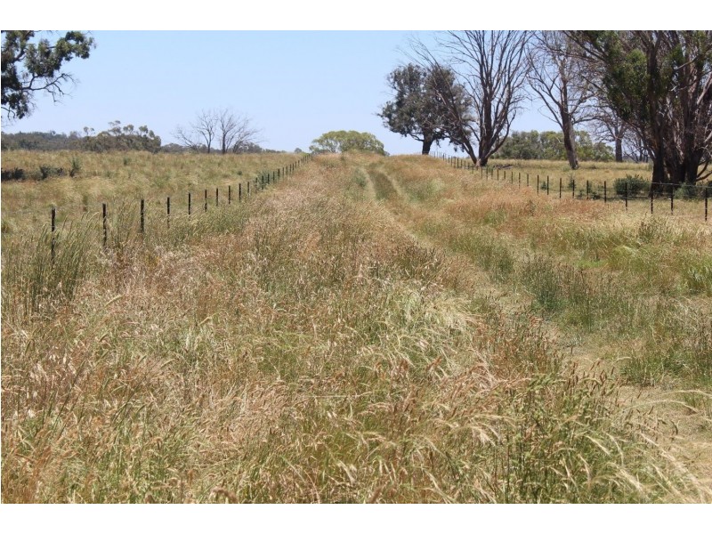 “Ramah”, Guyra NSW 2365