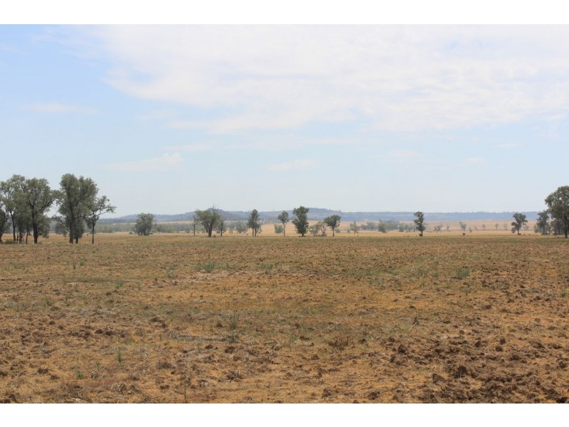 “Flaggy Creek”, Warialda NSW 2402