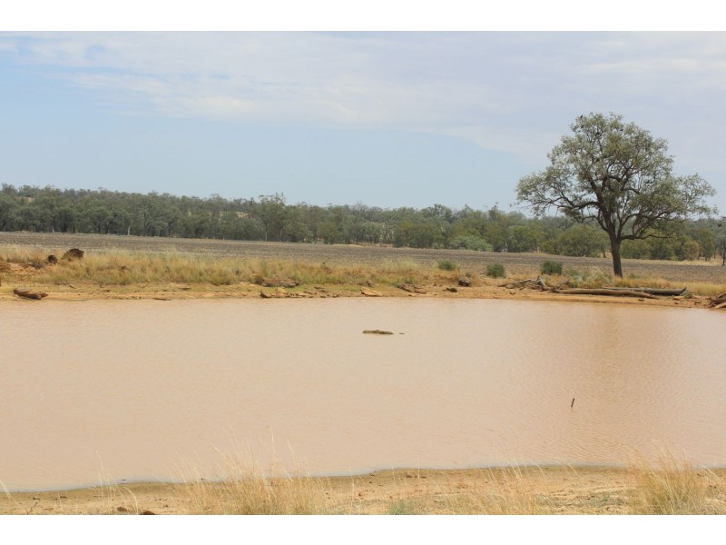 “Flaggy Creek”, Warialda NSW 2402