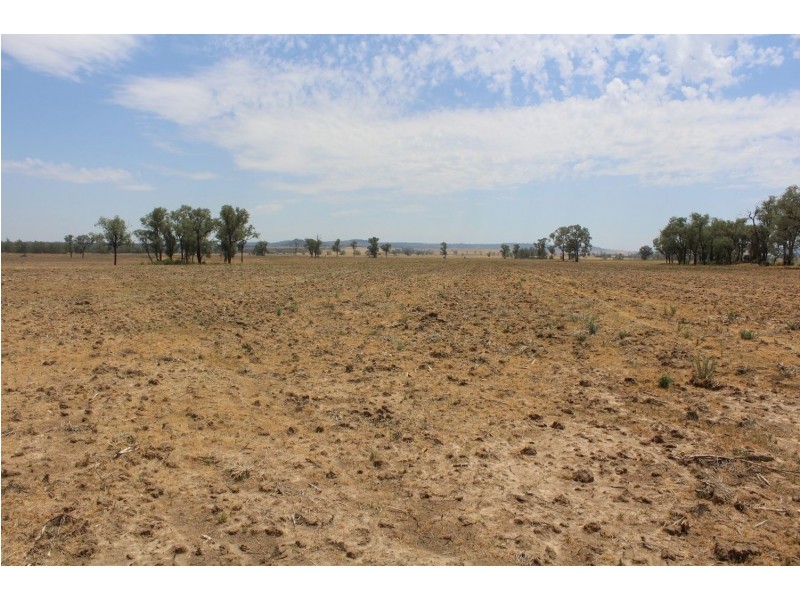 “Flaggy Creek”, Warialda NSW 2402