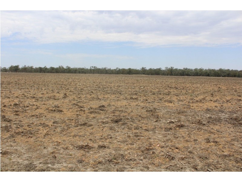 “Flaggy Creek”, Warialda NSW 2402