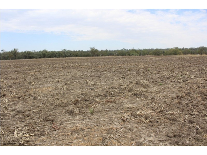 “Flaggy Creek”, Warialda NSW 2402