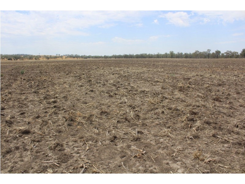 “Flaggy Creek”, Warialda NSW 2402