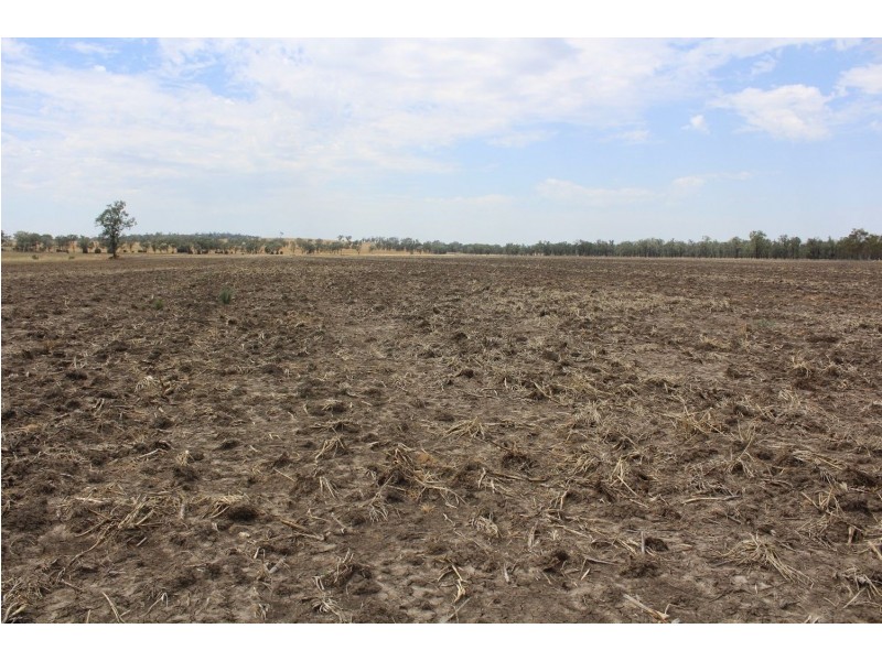 “Flaggy Creek”, Warialda NSW 2402