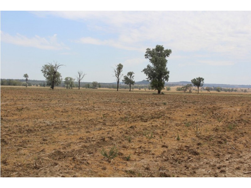 “Flaggy Creek”, Warialda NSW 2402