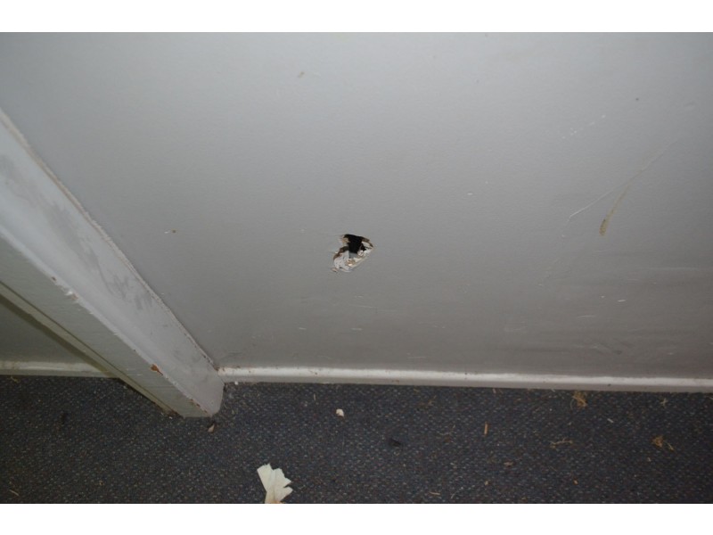 7/15-17 Tycannah Street, Moree NSW 2400