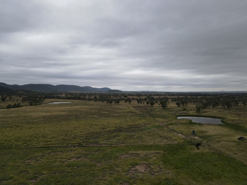 “Horton Valley” Aggregation, Upper Horton NSW 2347