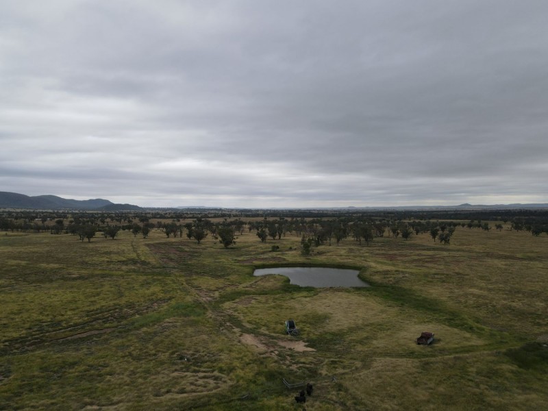 “Horton Valley” Aggregation, Upper Horton NSW 2347