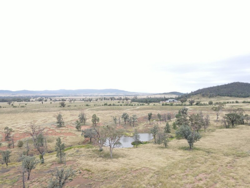 “Horton Valley” Aggregation, Upper Horton NSW 2347
