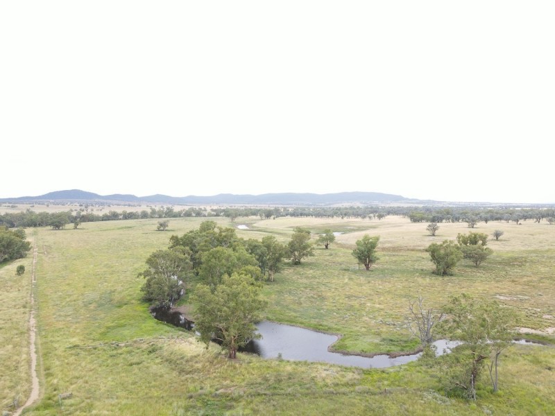 “Horton Valley” Aggregation, Upper Horton NSW 2347