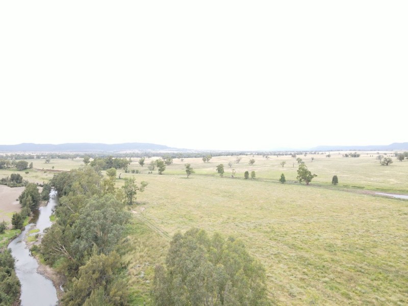 “Horton Valley” Aggregation, Upper Horton NSW 2347