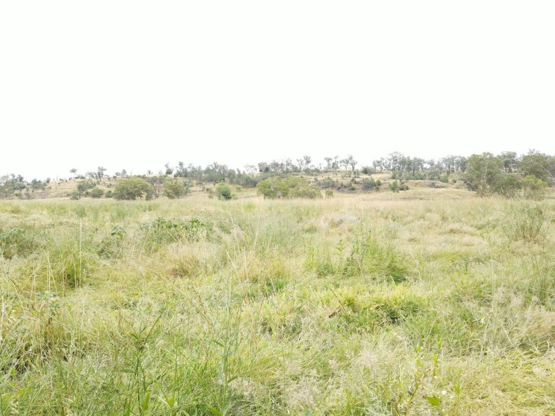 “Horton Valley” Aggregation, Upper Horton NSW 2347