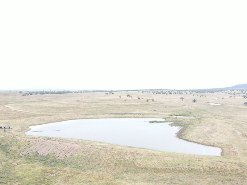 “Horton Valley” Aggregation, Upper Horton NSW 2347