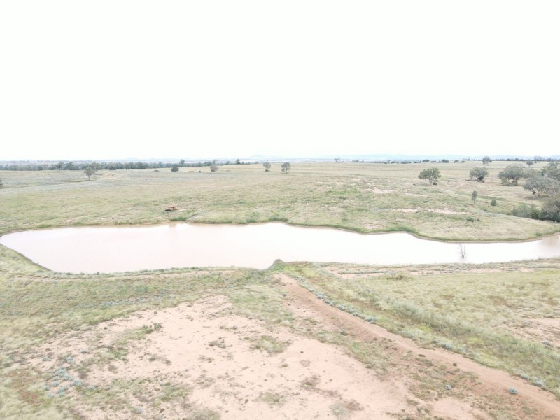 “Horton Valley” Aggregation, Upper Horton NSW 2347