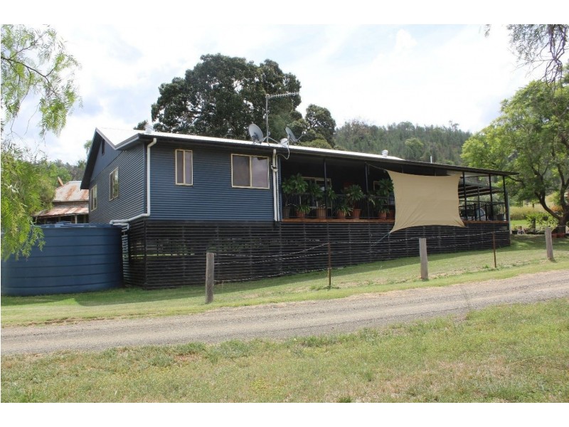 “Horton Valley” Aggregation, Upper Horton NSW 2347