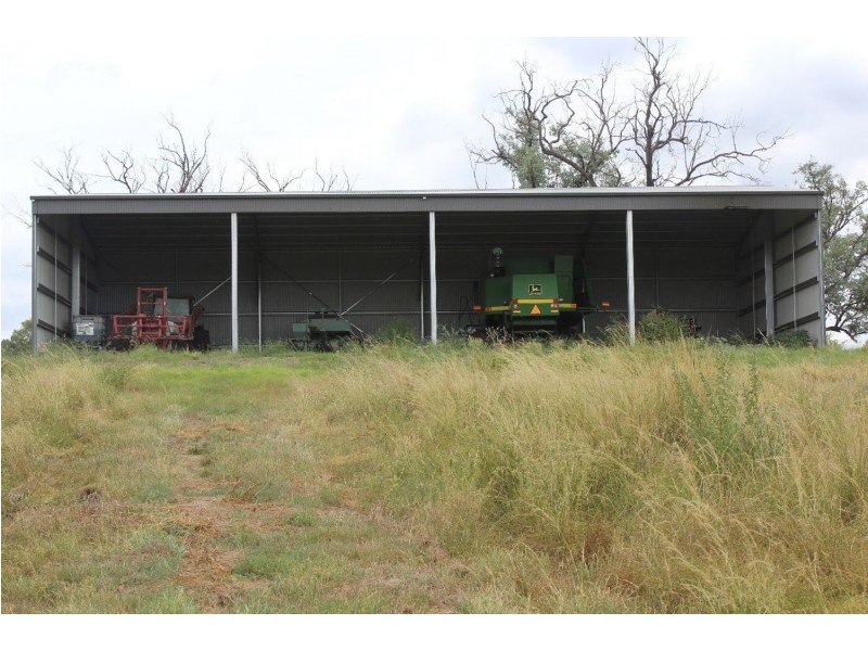 “Horton Valley” Aggregation, Upper Horton NSW 2347