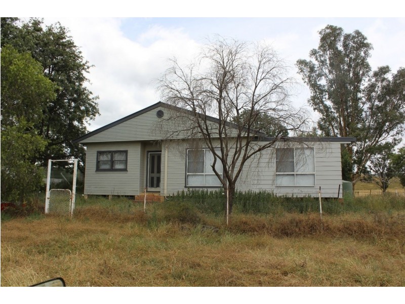 “Horton Valley” Aggregation, Upper Horton NSW 2347