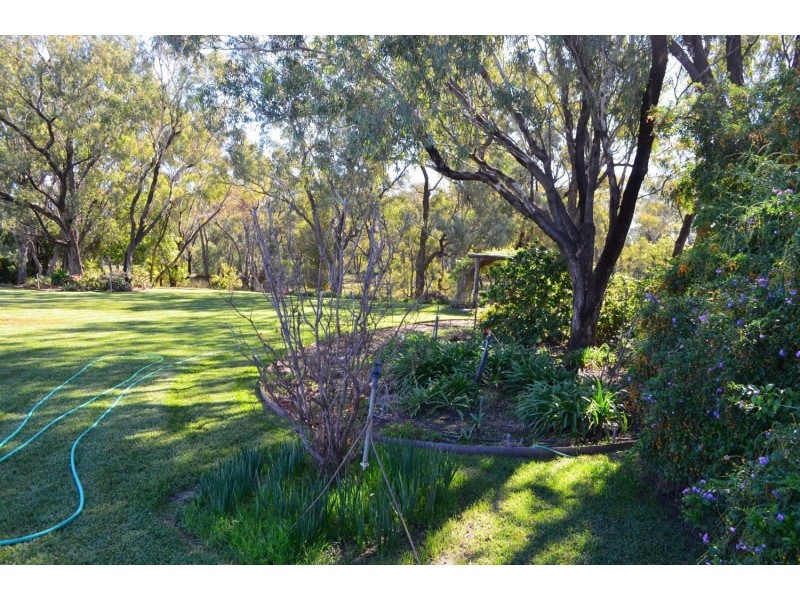 “Walkden” Kooroogamma Road, Moree NSW 2400
