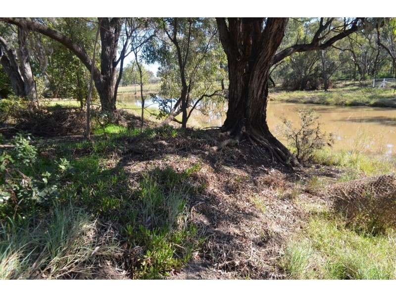 “Walkden” Kooroogamma Road, Moree NSW 2400