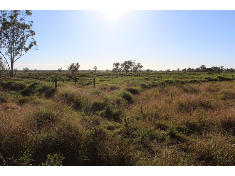 “Towradgi” Newell Highway, Moree NSW 2400