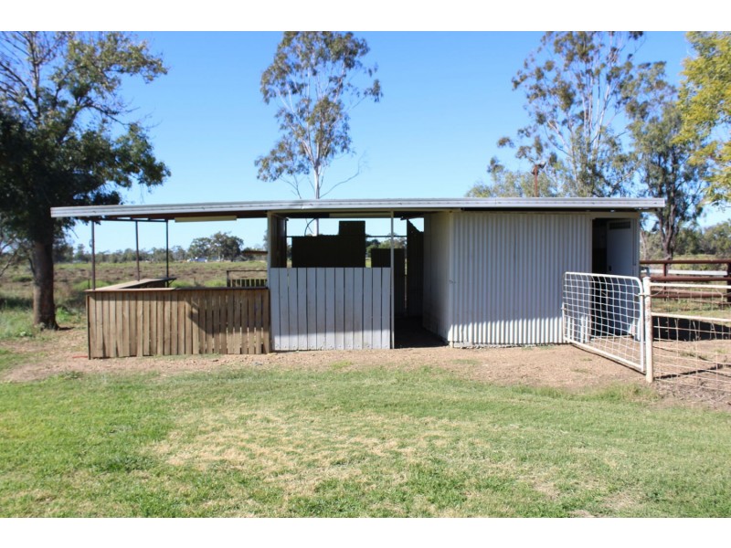 “Towradgi” Newell Highway, Moree NSW 2400