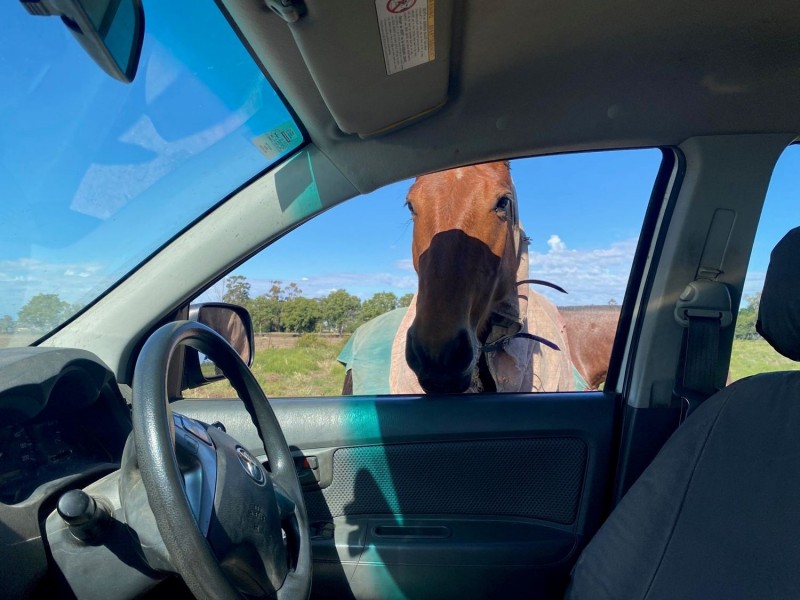 “Towradgi” Newell Highway, Moree NSW 2400