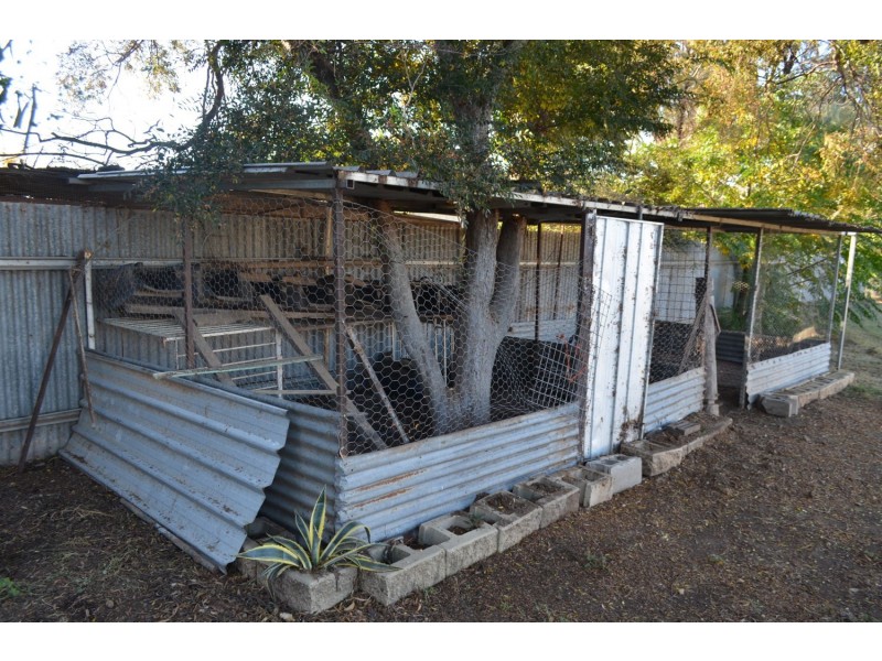 57 Boolooroo Street, Ashley NSW 2400