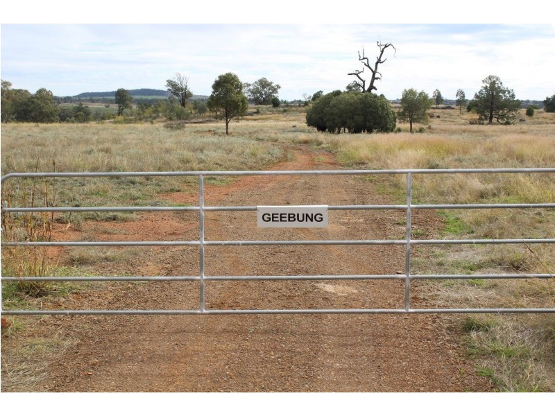 “Geebung” Gwydir Highway, Gravesend NSW 2401