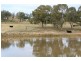 “Geebung” Gwydir Highway, Gravesend NSW 2401