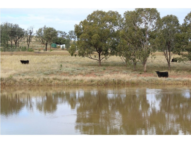 “Geebung” Gwydir Highway, Gravesend NSW 2401