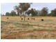 “Geebung” Gwydir Highway, Gravesend NSW 2401