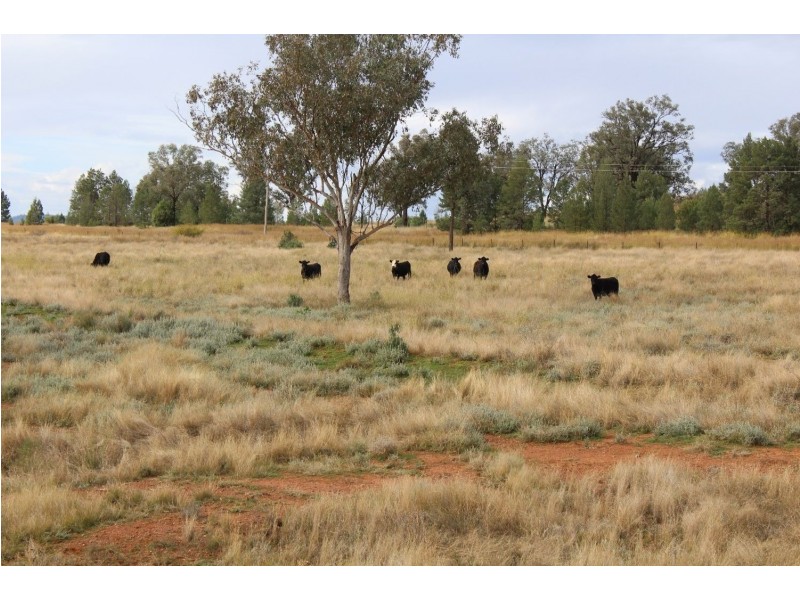 “Geebung” Gwydir Highway, Gravesend NSW 2401
