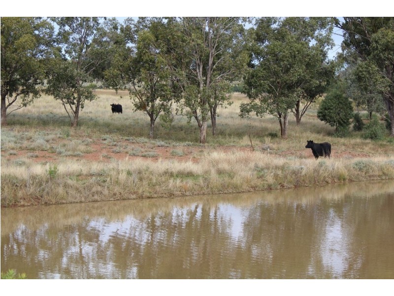 “Geebung” Gwydir Highway, Gravesend NSW 2401
