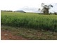 “Geebung” Gwydir Highway, Gravesend NSW 2401