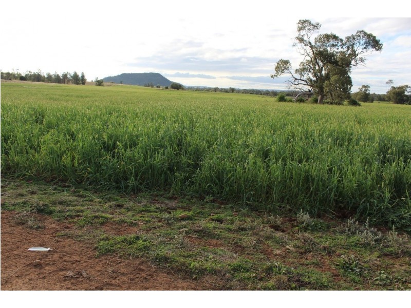 “Geebung” Gwydir Highway, Gravesend NSW 2401