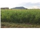 “Geebung” Gwydir Highway, Gravesend NSW 2401