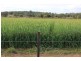 “Geebung” Gwydir Highway, Gravesend NSW 2401
