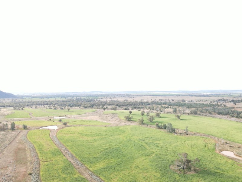 “Geebung” Gwydir Highway, Gravesend NSW 2401