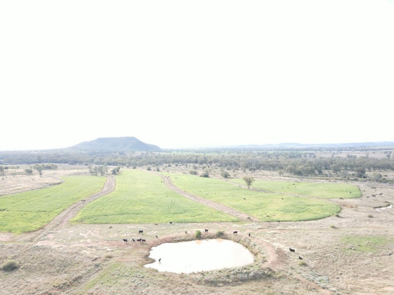“Geebung” Gwydir Highway, Gravesend NSW 2401