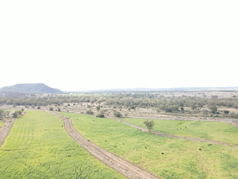 “Geebung” Gwydir Highway, Gravesend NSW 2401