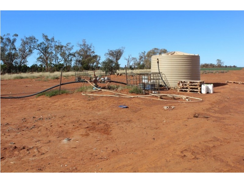 “Challoner Park” Tambingey Road, Hebel QLD 4486