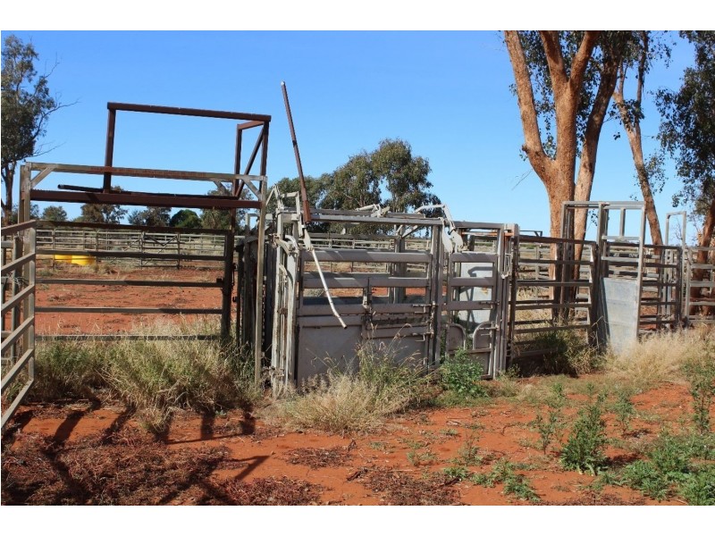 “Challoner Park” Tambingey Road, Hebel QLD 4486